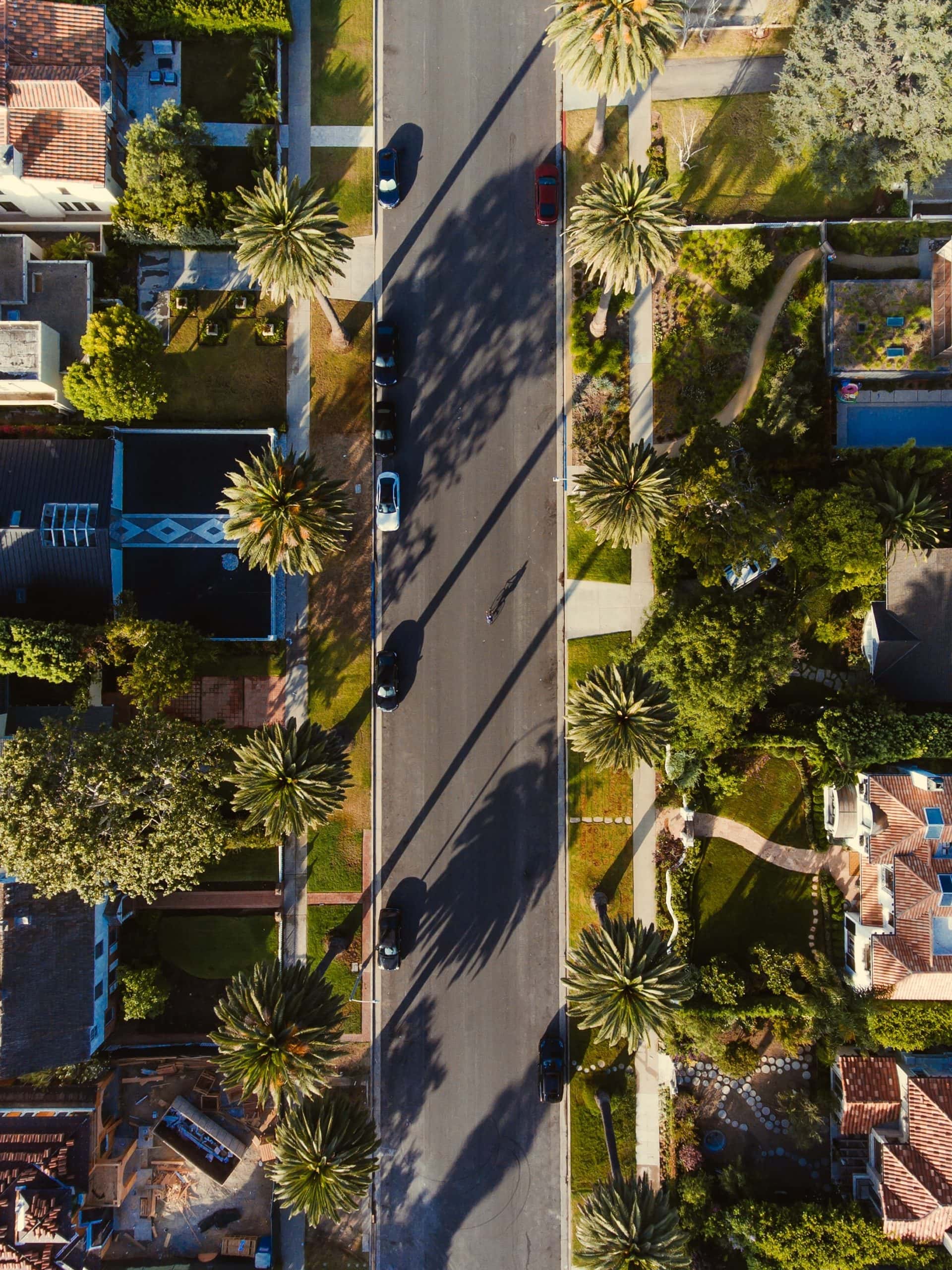 matthew-lejune-8L_bURvgm0c-unsplash